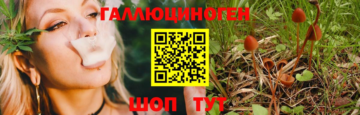 Галлюциногенные грибы прущие грибы  Вход с VPN  Барнаул 