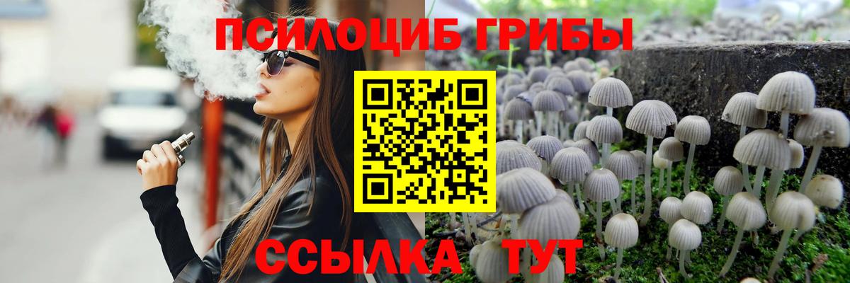 Галлюциногенные грибы мицелий Барнаул